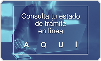 Imagen noticia precio dólar