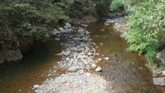 Mitigar las consecuencias de la temporada seca, una tarea de todos: Superservicios