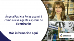 Ángela Patricia Rojas asumirá como nueva agente especial de Electricaribe.
