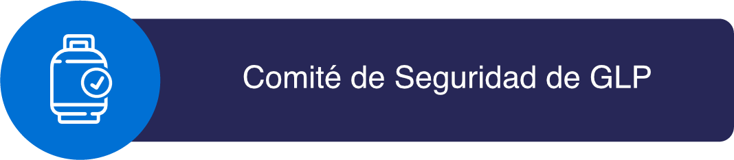 Comité de Seguridad GLP