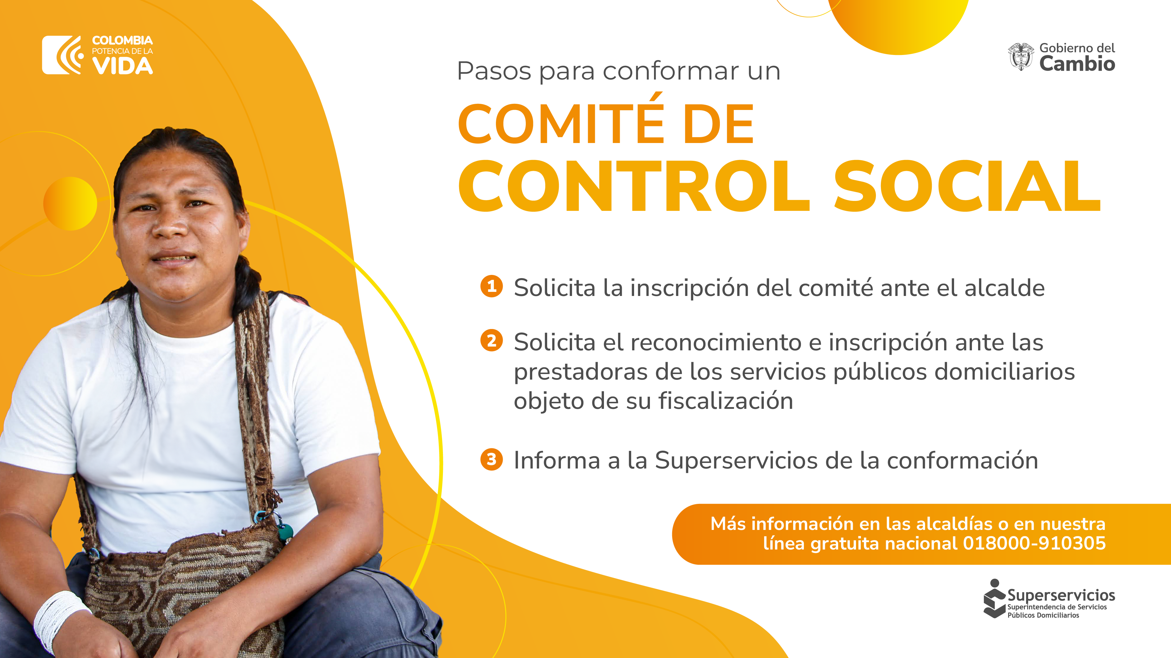 Pasos para confirmar el comite de desarrollo