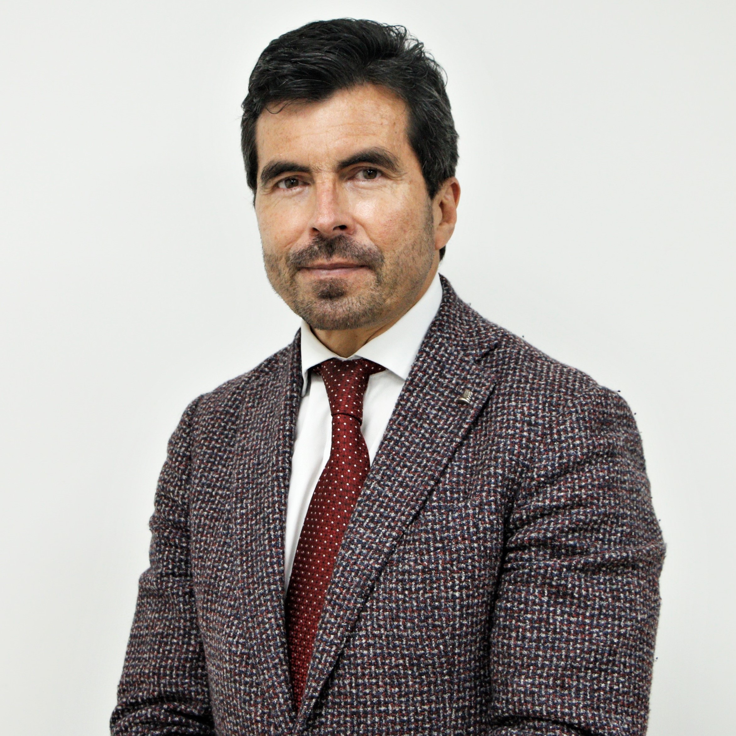 Orlando Velandia Sepúlveda - Delegado para Energía y Gas Combustible