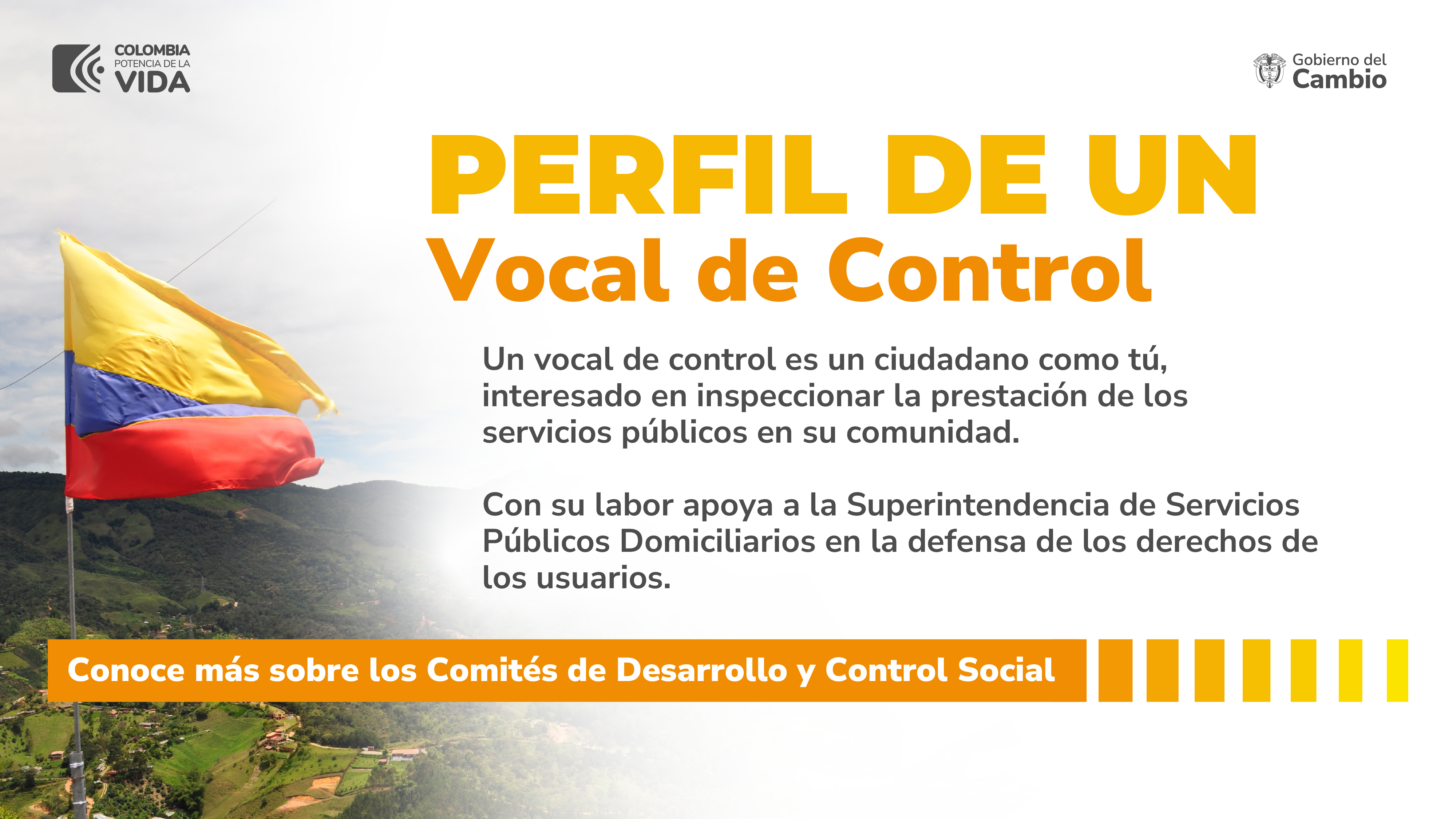 Perfil vocal de control
