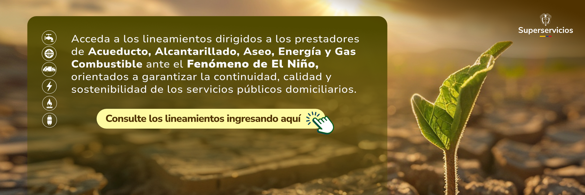 Banner lineamientos preventivos prestadores