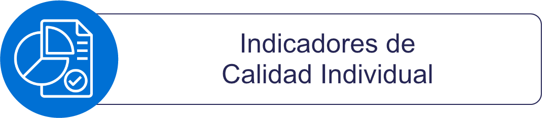 Energía - Indicadores de calidad individual 