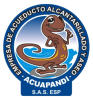 Empresa de Acueducto, Alcantarillado y Aseo del Municipio de Pandi - Acuapandi S.A.S. E.S.P.